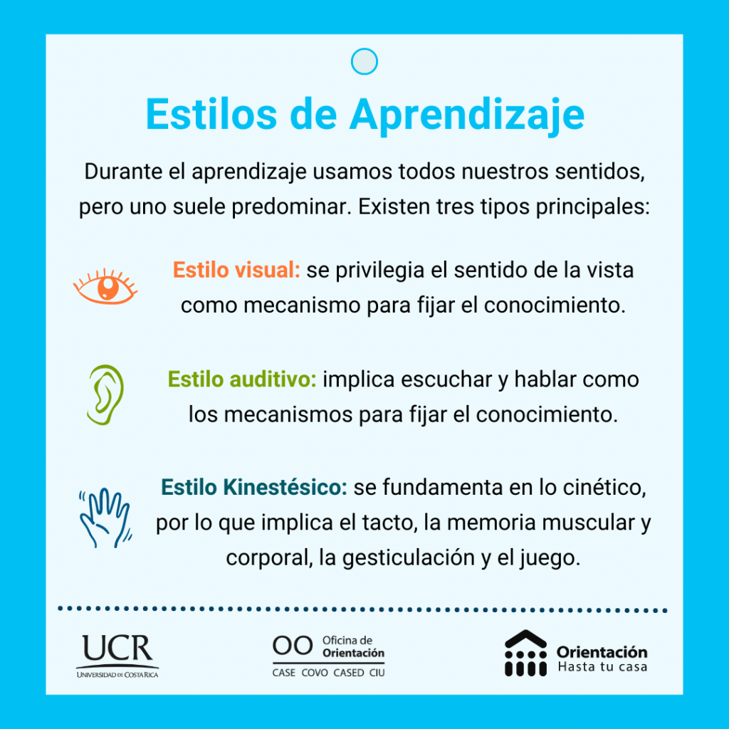 Estilos De Aprendizaje 1
