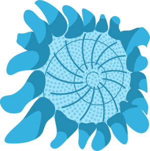 Girasol@150x